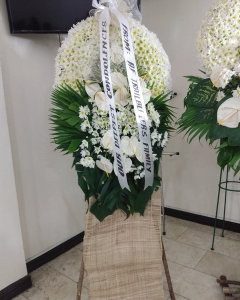 Peace White Sympathy Standing